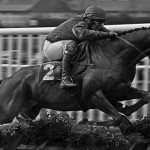'The Jockey' by Stuart Kerr
