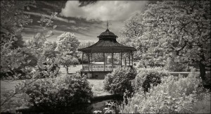 Ist Place Mono Print -  Bill Mc Donough with this wonderful rendition in infra red of  Sefton Park bandstand.