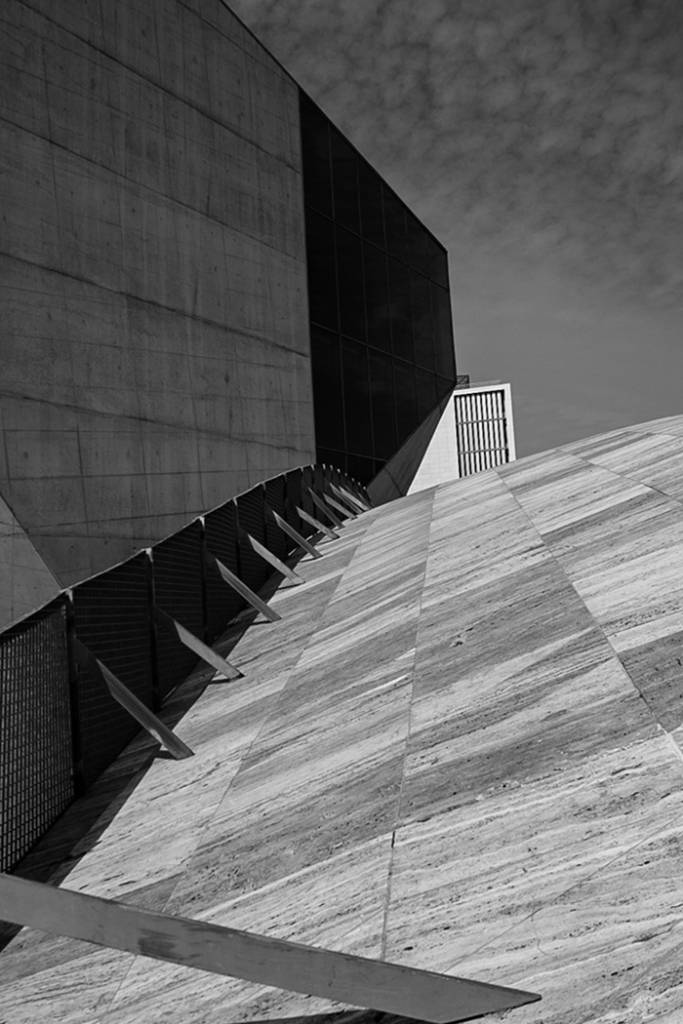 'Architectural Lines' by Tracey Dolan, was the Monochrome Print Winner