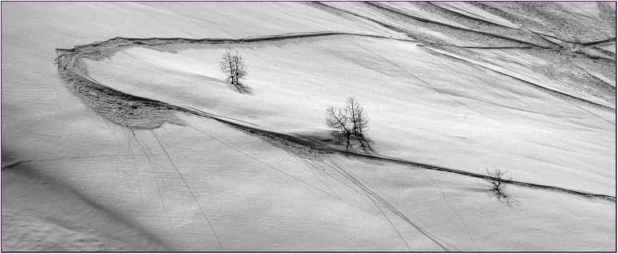 1st place mono and overall competition winner - Snow Trail by John Thomson