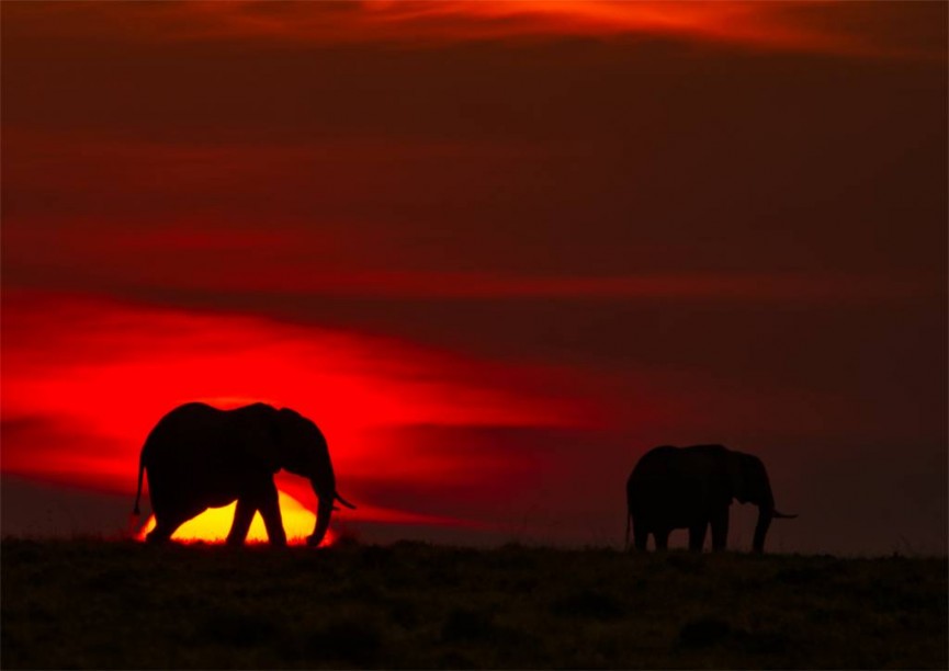 Commended - Under African Skies by Chris Stead