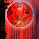 Chinese Lantern - Dawn O'Dowd