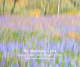 Restless Lens