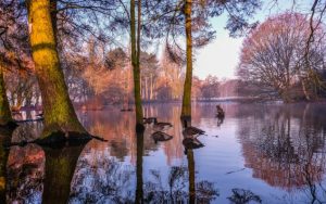 Early Winter Morning Reflections by Ed Foy