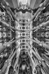 Commended - Sagrada Familia ceiling by Paul Hamilton