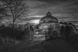 The Palm House & A Full Moon by Ed Foy