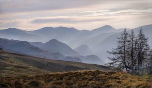 Commended - Borrowdale by  Christine  Lowe LRPS