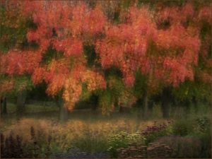 Highly Commended - Impressionist autumn by Barbara Green